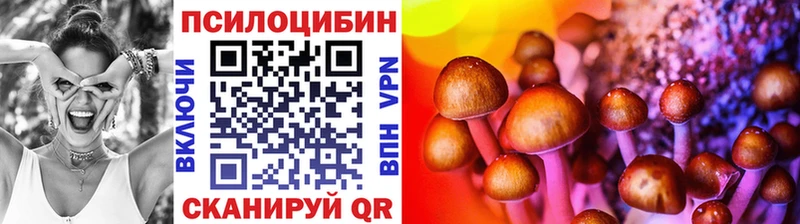 Псилоцибиновые грибы Psilocybe  Усолье 